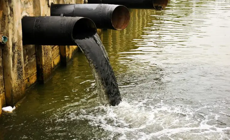 Causes And Effects Of Thermal Pollution Environment Buddy