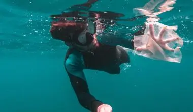 Plastic Bag Ocean Pollution