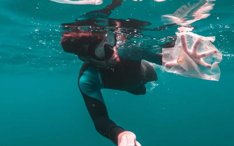 Plastic Bag Ocean Pollution