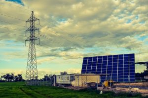 Solar Panels Placed on a Farm to check it's effect on Biodiversity