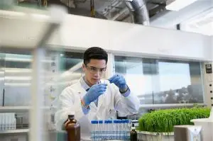Scientist conducting scientific experiment in GMO laboratory