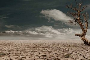 Desertification definition causes effects solutions