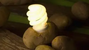 LED bulb working by placing it in potato