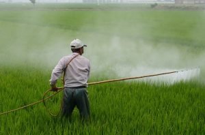 Farmer spraying pesticide