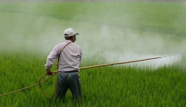 Farmer spraying pesticide