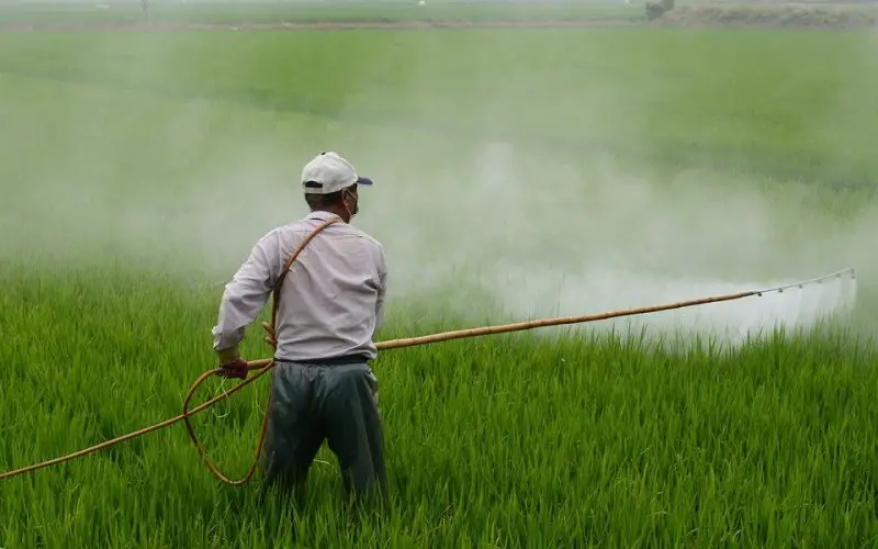 Farmer spraying pesticide