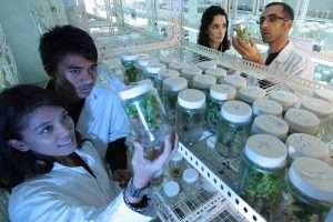 Pros and Cons of Biotechnology