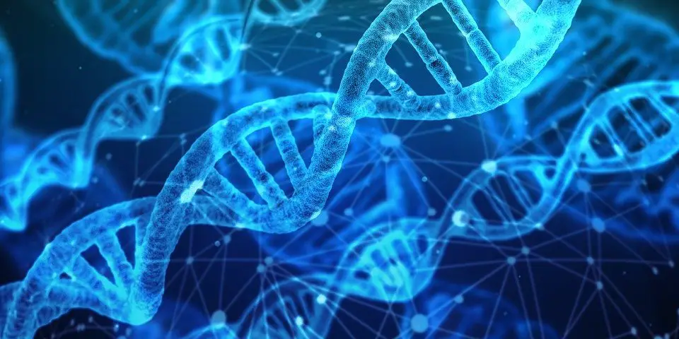 20+ Pros and Cons of Biotechnology | Environment Buddy 20+ Pros and Cons of Biotechnology | Environment Buddy