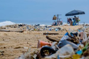 Environmental Impact of Tourism Trashy Beaches