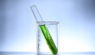 Learn Biodiesel Production from Algae