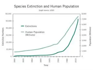 Extinction and human population