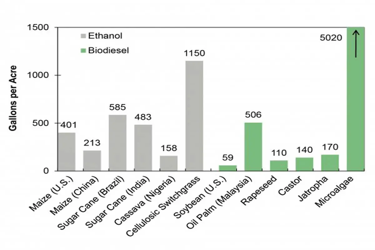 Gallons per Acre from Algae Biodiesel