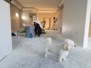 Low-Voc Paints. Eco-friendly home renovation