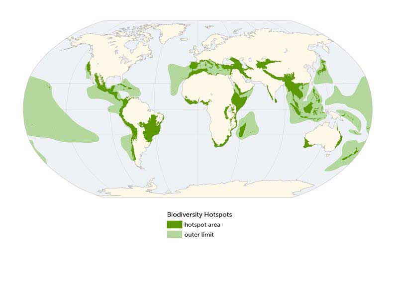 Biodiversity Hotspots Map