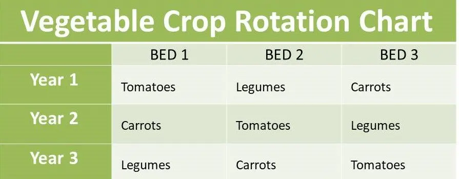 Crop Rotation Chart