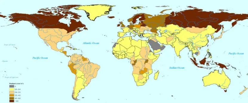 Peatland Coverage