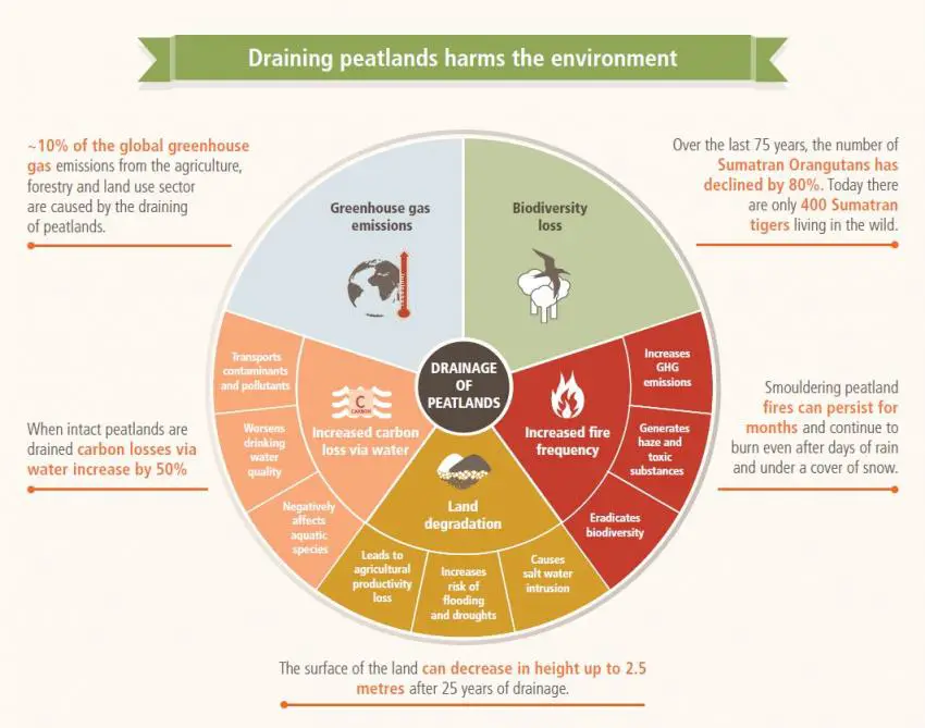 Peatland Draining Environmental Impact