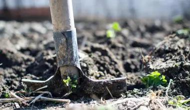 Biointensive farming practices