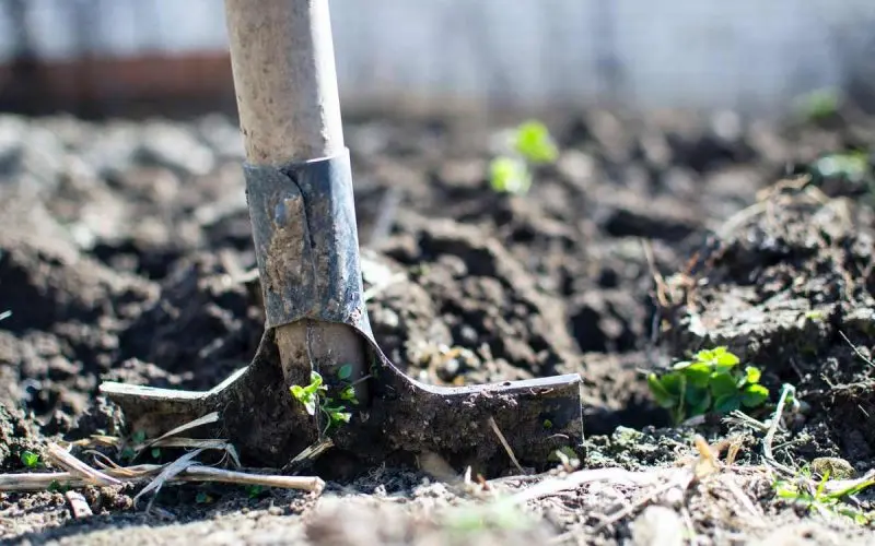 Biointensive farming practices