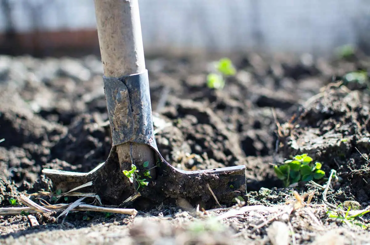 Bio Intensive Farming With Examples