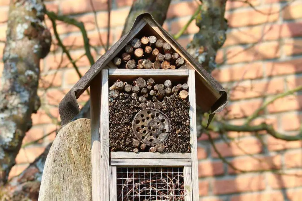 insect-house-benefits-DIY