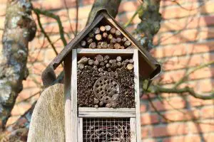 insect-house-benefits-DIY
