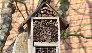 insect-house-benefits-DIY