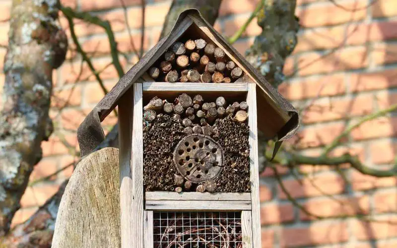 insect-house-benefits-DIY