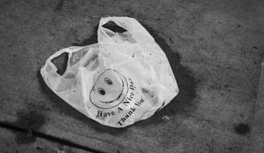 Plastic bag litter decomposing on streets