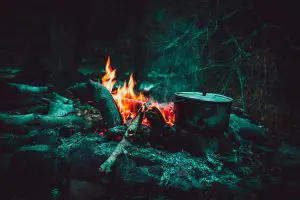 Lighting fire and cooking are rewilding skills to learn