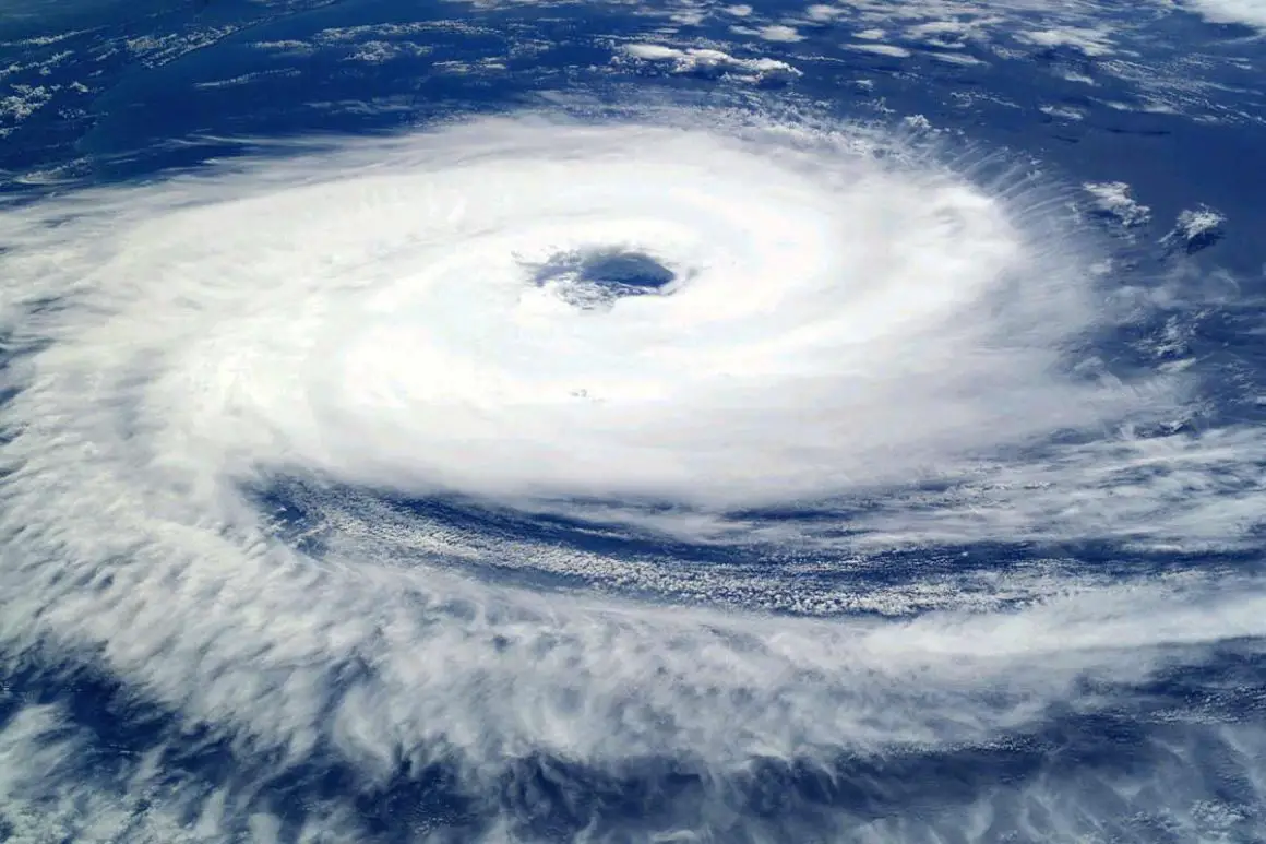 50 Facts about Hurricanes Environment Buddy