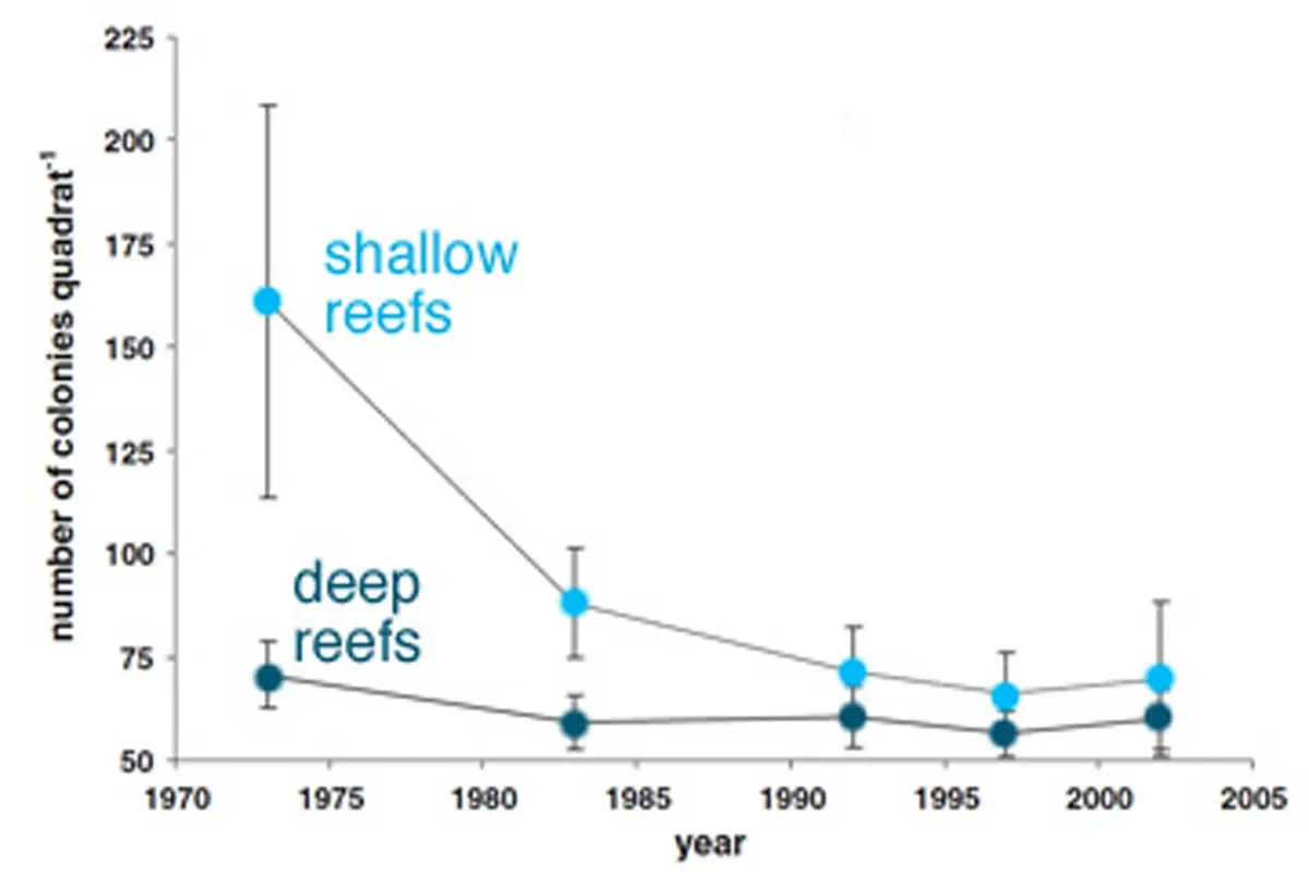 coral reefs decline over 30 years