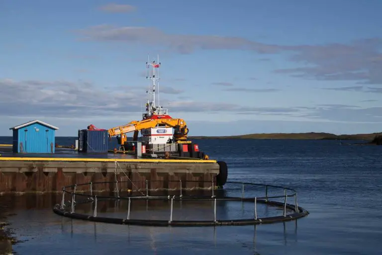 Fishfarmingadvantagesresearch Environment Buddy