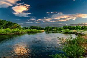 Riparian Buffers on Edge of River