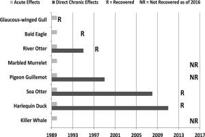 Oil spill effects species recovery