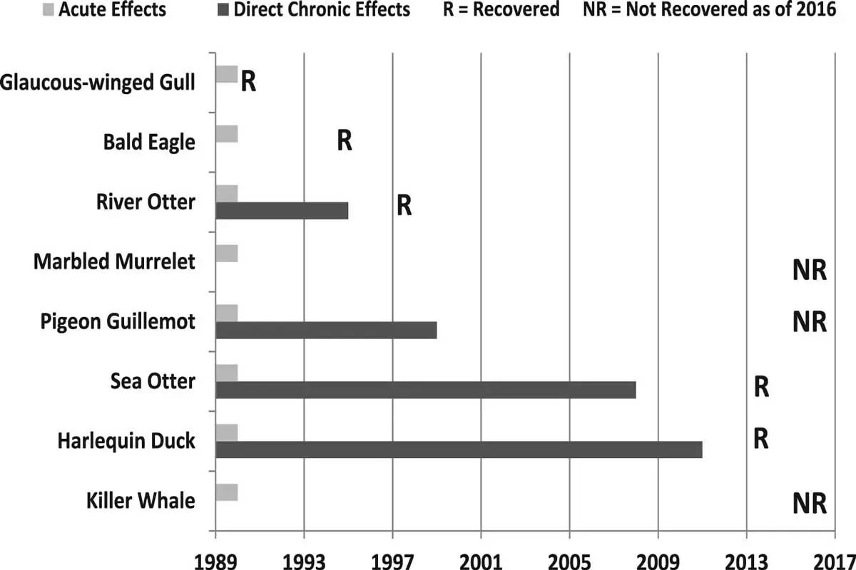 Oil spill effects species recovery