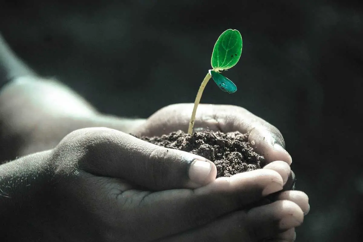 10 ways to conserve soil
