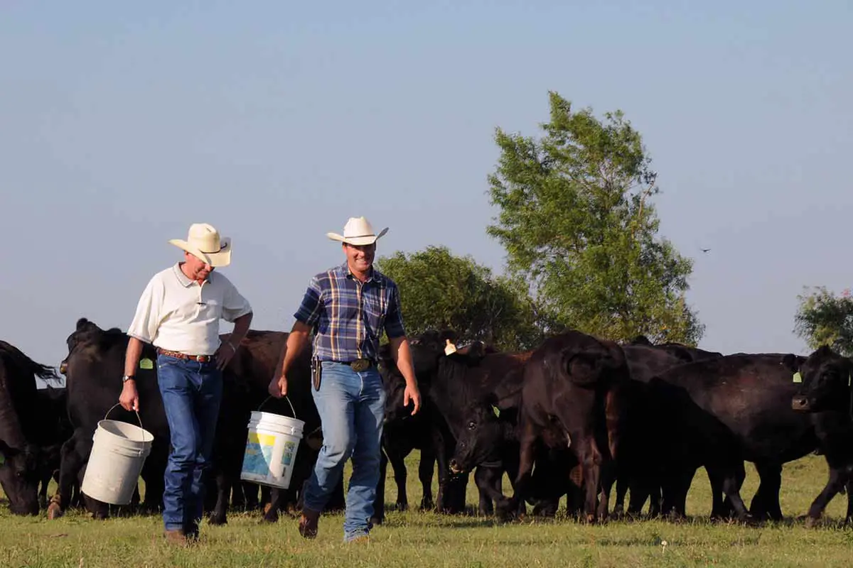 Agroecology has major benefits to farmers.