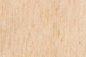 Balsa Wood Texture