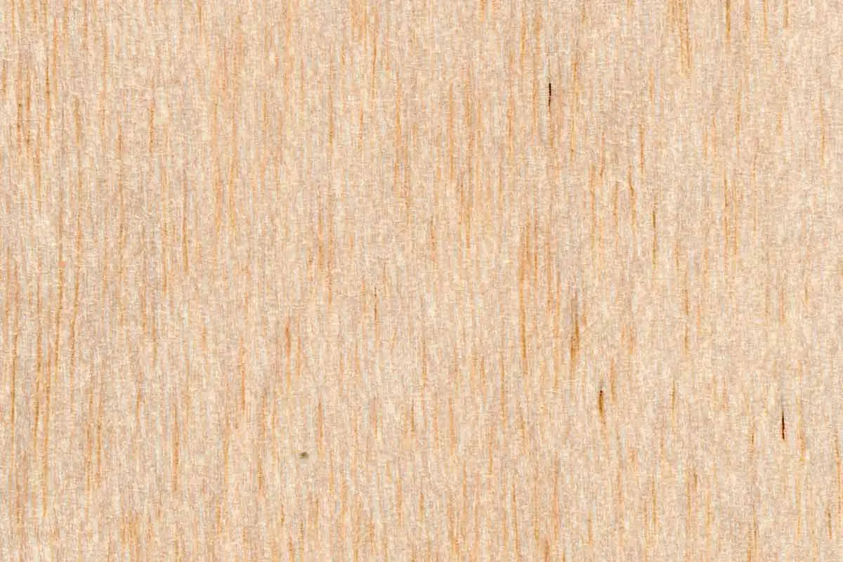 Balsa Wood Texture