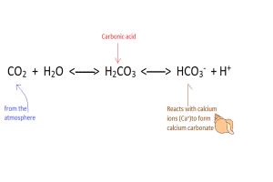 Ocean Acidification; More Carbonic Acid.