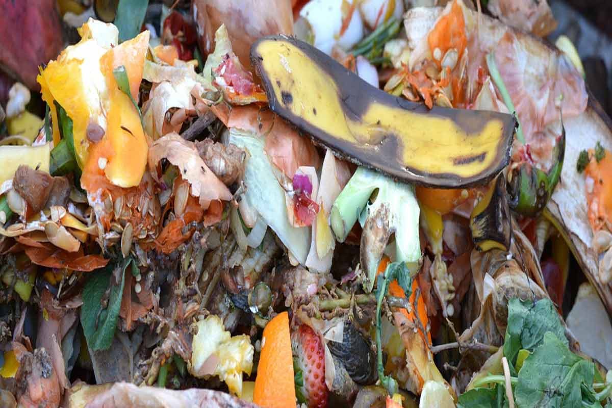 Food waste should be recycled and composted.