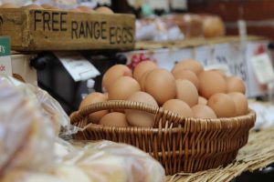 Free Range eggs for Ethical Eating