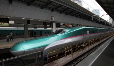 Bullet Trains as a Biomimicry of Kingfisher Beak