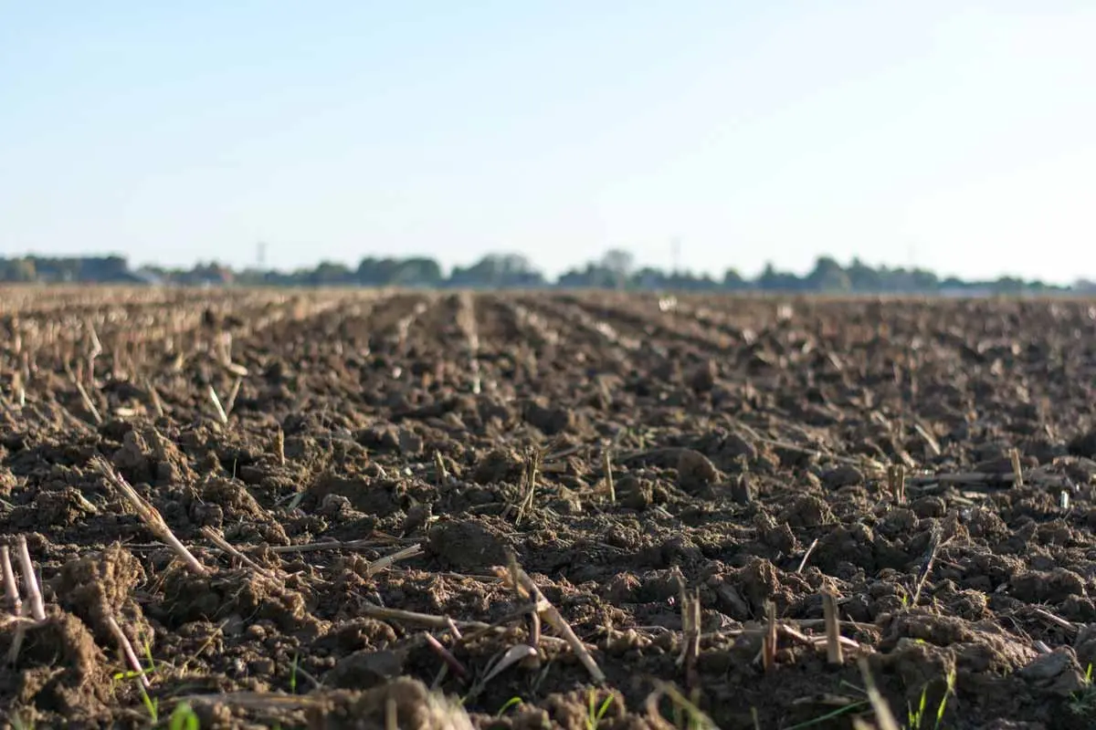 Soil during overcultivation