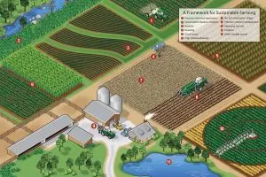 Sustainable Farming Methods Infographic