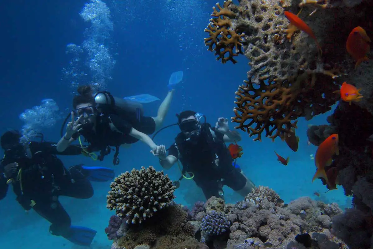 Tourism has major effects on Coral Reefs