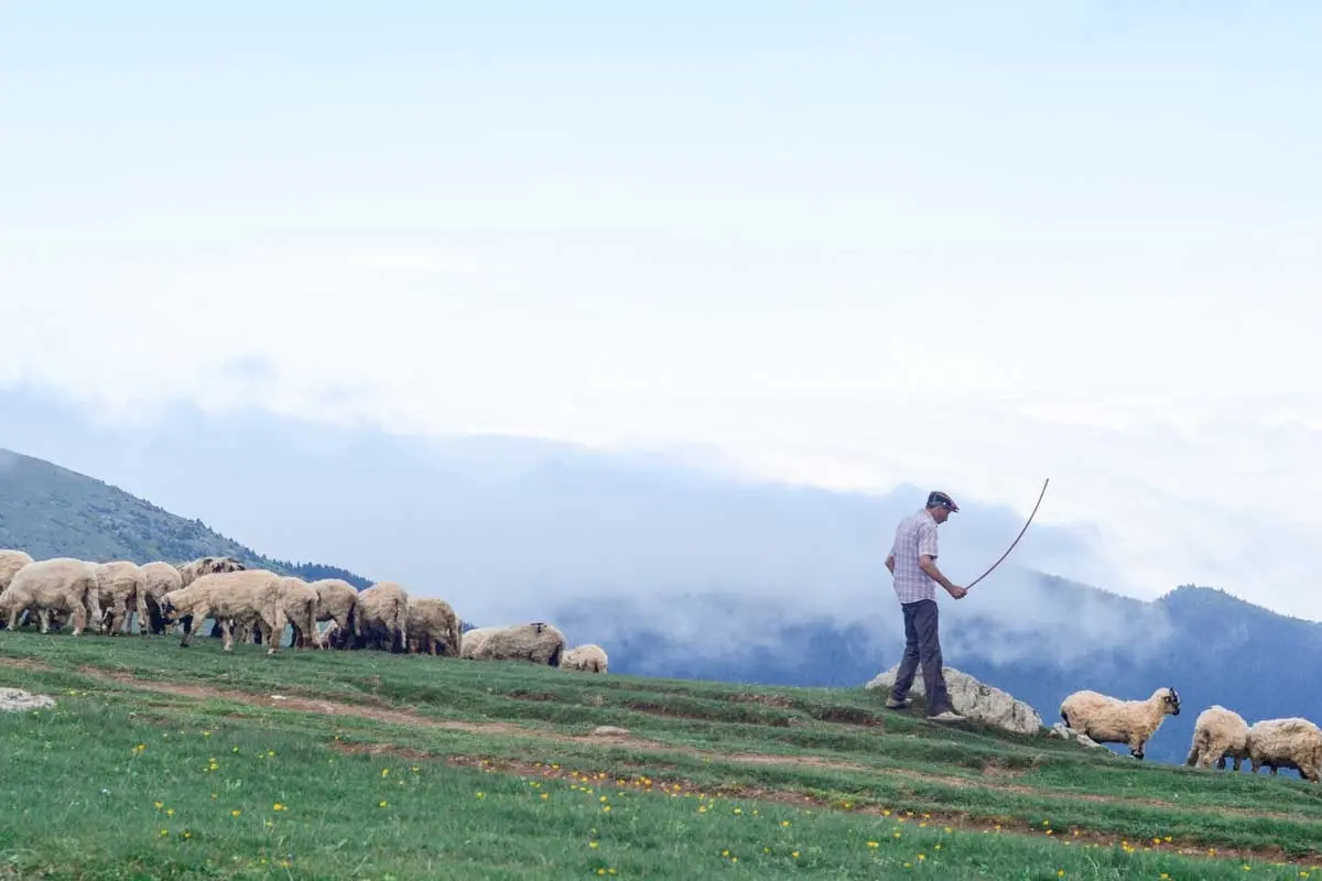 Prevent Overgrazing to protect soil