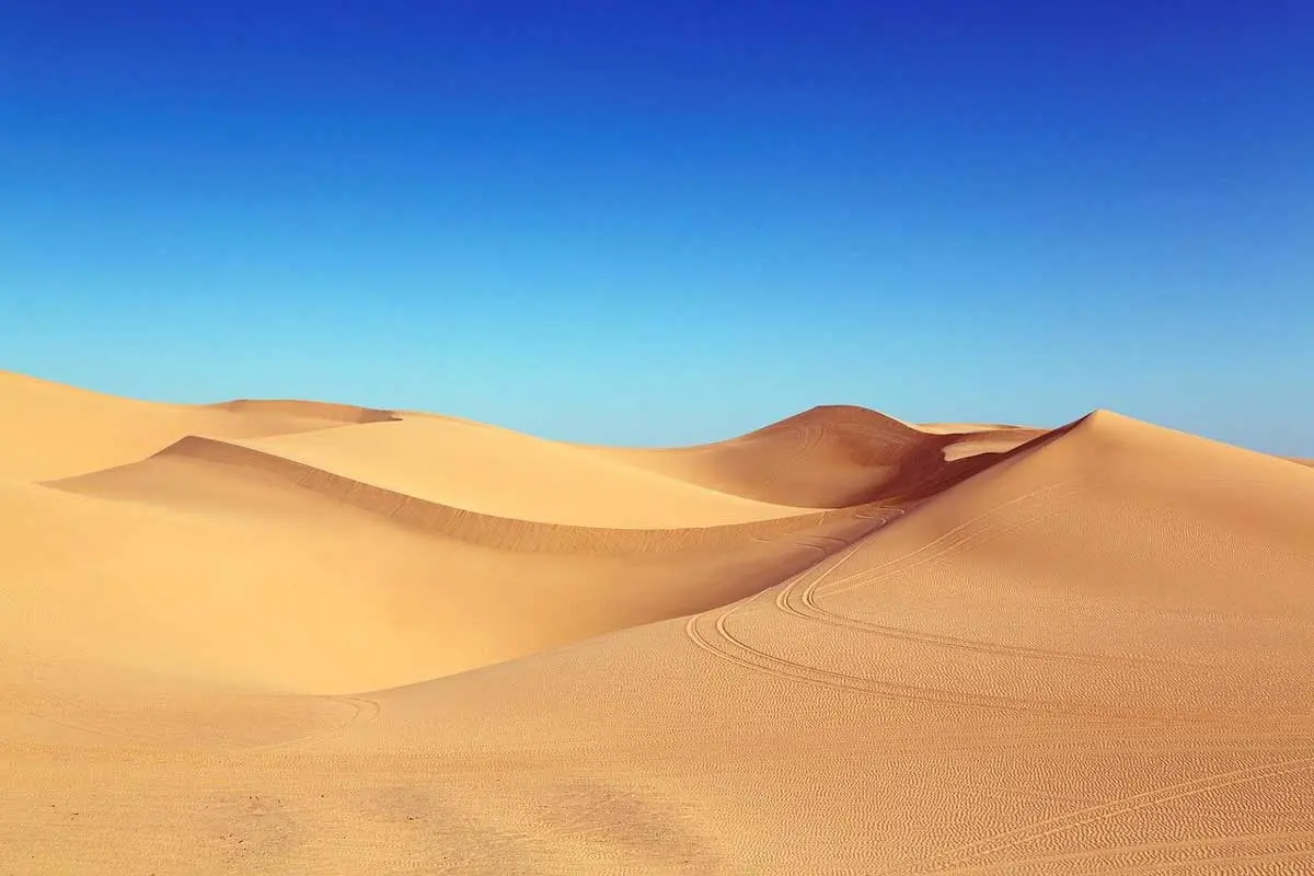 Desert Ecosystems