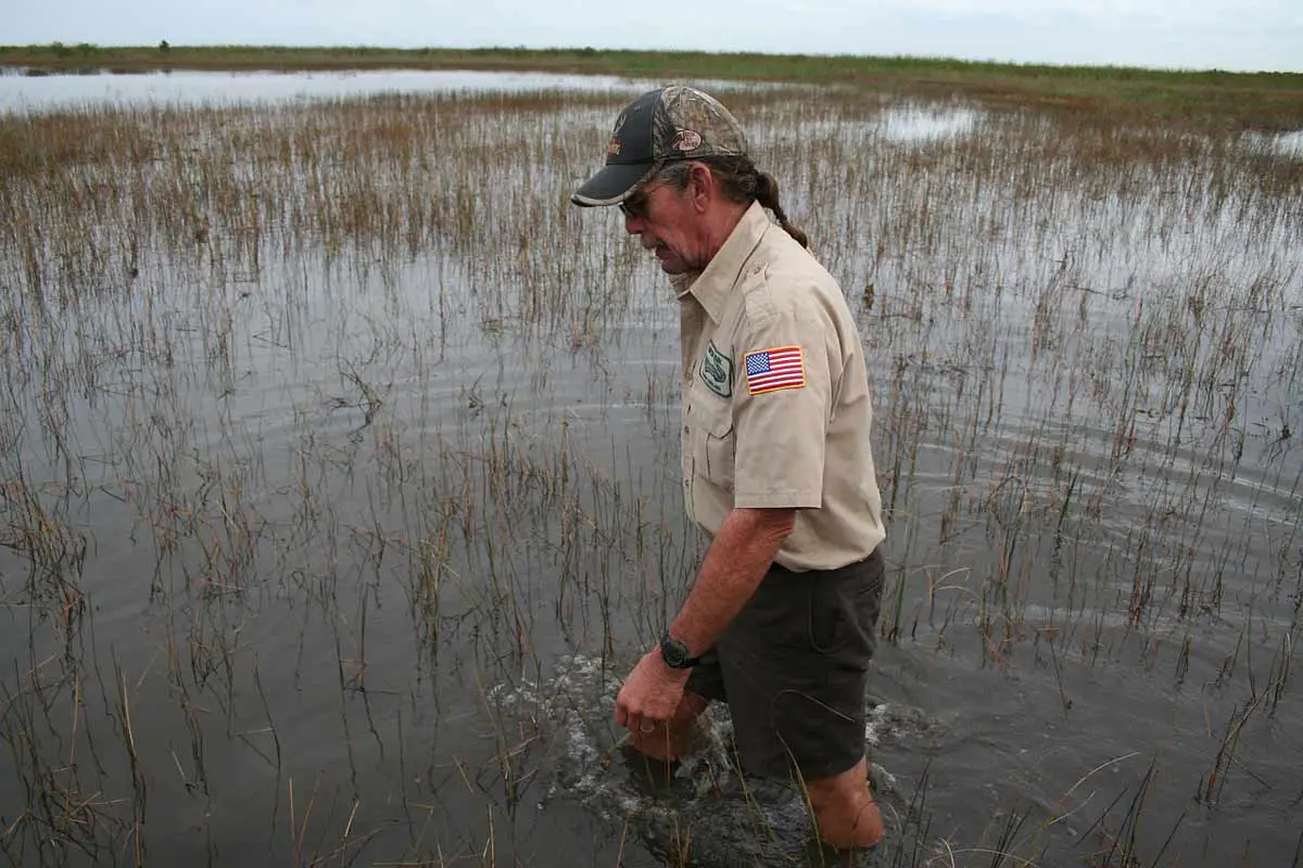 Game Warden / Conservation officer